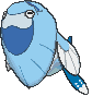 arctovish