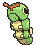 caterpie