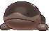clodsire