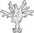cursola