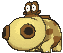 hippopotas