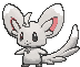 minccino