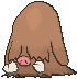 piloswine