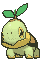turtwig